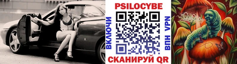 Псилоцибиновые грибы ЛСД  Купить закладки  Куртамыш 